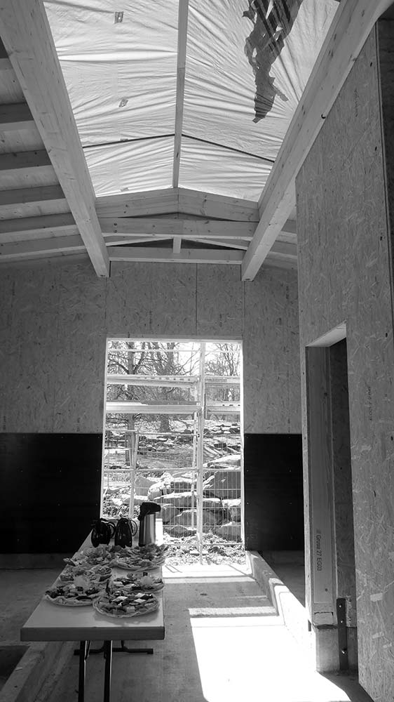 Holzstallgebäude in der Bauphase.