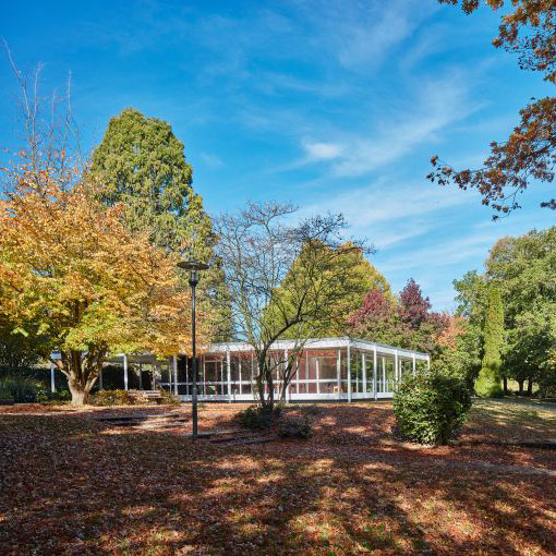 Der Lesepavillon der GRUGA in Essen, eingebettet in die sonnige, waldartige Bepflanzung im Herbstlaub.